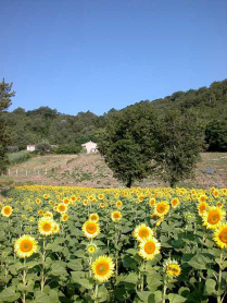 casa-bella-italien